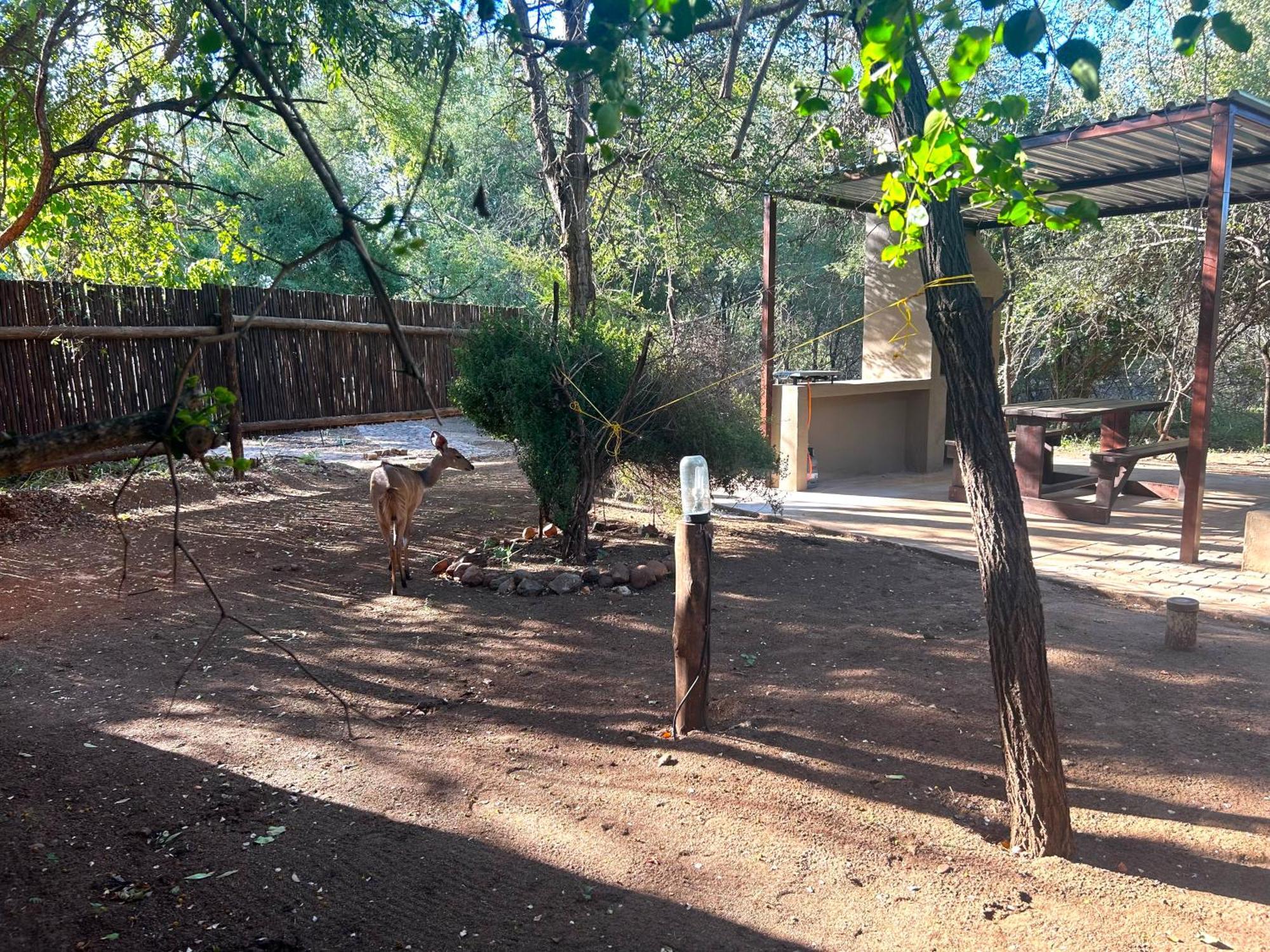 Athule Inn Marloth - Units Marloth Park Zewnętrze zdjęcie